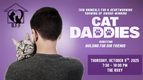 Cat Daddies Horizontal_thumb.jpg